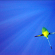 Illustration for article titled Using An Undersea Glider To Record a Terabyte of Whale Noises